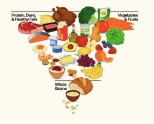 New US Food Pyramid