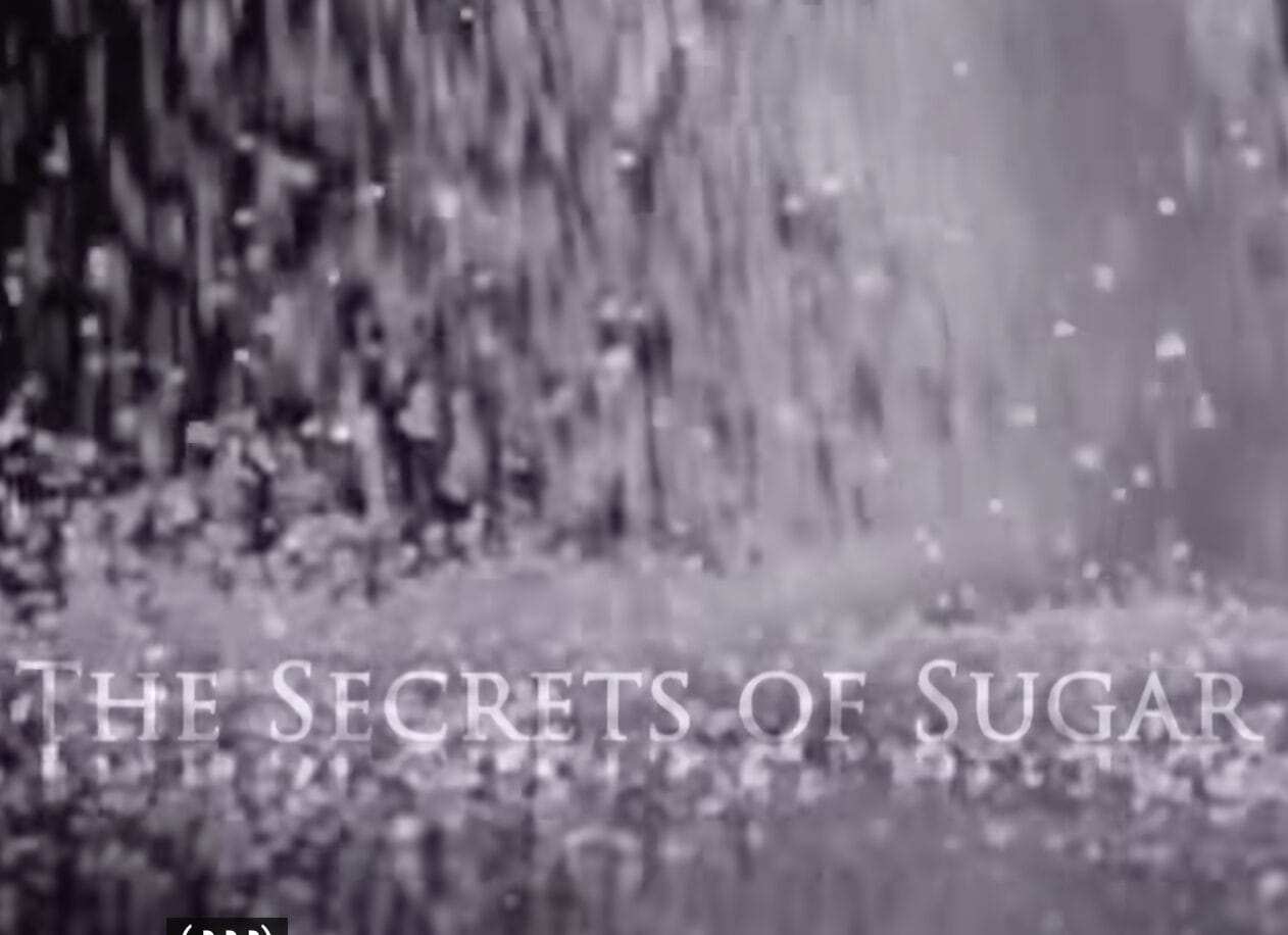 Image 1 5 26 at 15.34 (1)